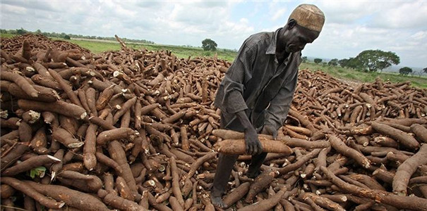 專業(yè)淀粉設(shè)備,促進(jìn)非洲木薯加工自動(dòng)化 專業(yè)淀粉設(shè)備,促進(jìn)非洲木薯加工自動(dòng)化